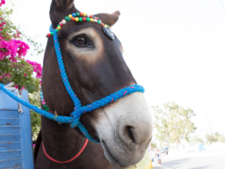 Expo_2020_06-11.jpg Expo_2020_06-11.jpg