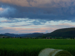 Expo_2020_06-12.jpg Expo_2020_06-12.jpg