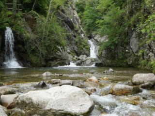 Expo_2020_06-14.jpg Expo_2020_06-14.jpg