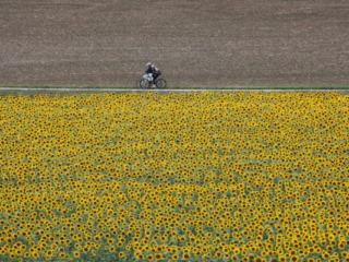 Expo_2020_06-16.jpg Expo_2020_06-16.jpg