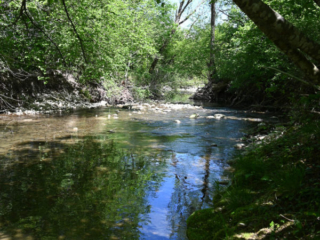 Expo_2020_06-2.jpg Expo_2020_06-2.jpg