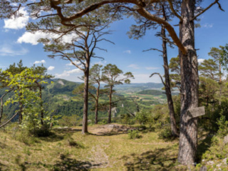 Expo_2020_06-20.jpg Expo_2020_06-20.jpg