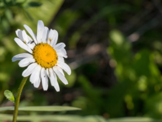 Expo_2020_06-4.jpg Expo_2020_06-4.jpg