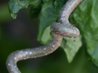 Expo_2020_06-5.jpg Expo_2020_06-5.jpg