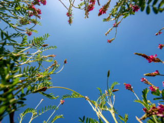 Expo_2020_06-6.jpg Expo_2020_06-6.jpg