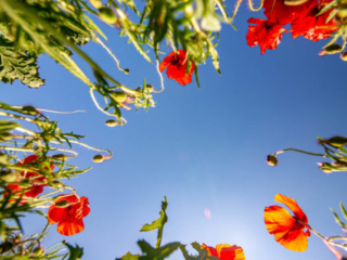 Expo_2020_06-7.jpg Expo_2020_06-7.jpg