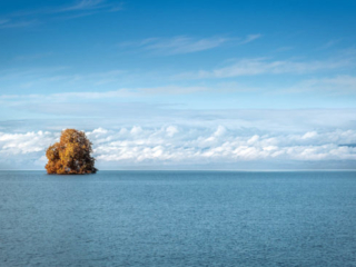 Expo_2020_04_3-1.jpg