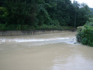 Expo_2007-08-7.jpg