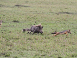 Expo_2012-03-14.jpg