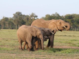 Expo_2012-03-16.jpg