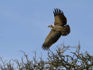 Expo_2012-03-19.jpg