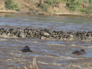 Expo_2012-03-2.jpg