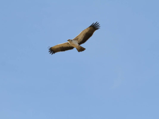 Expo_2012-03-20.jpg