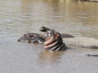 Expo_2012-03-25.jpg