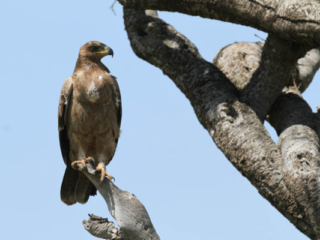 Expo_2012-03-4.jpg