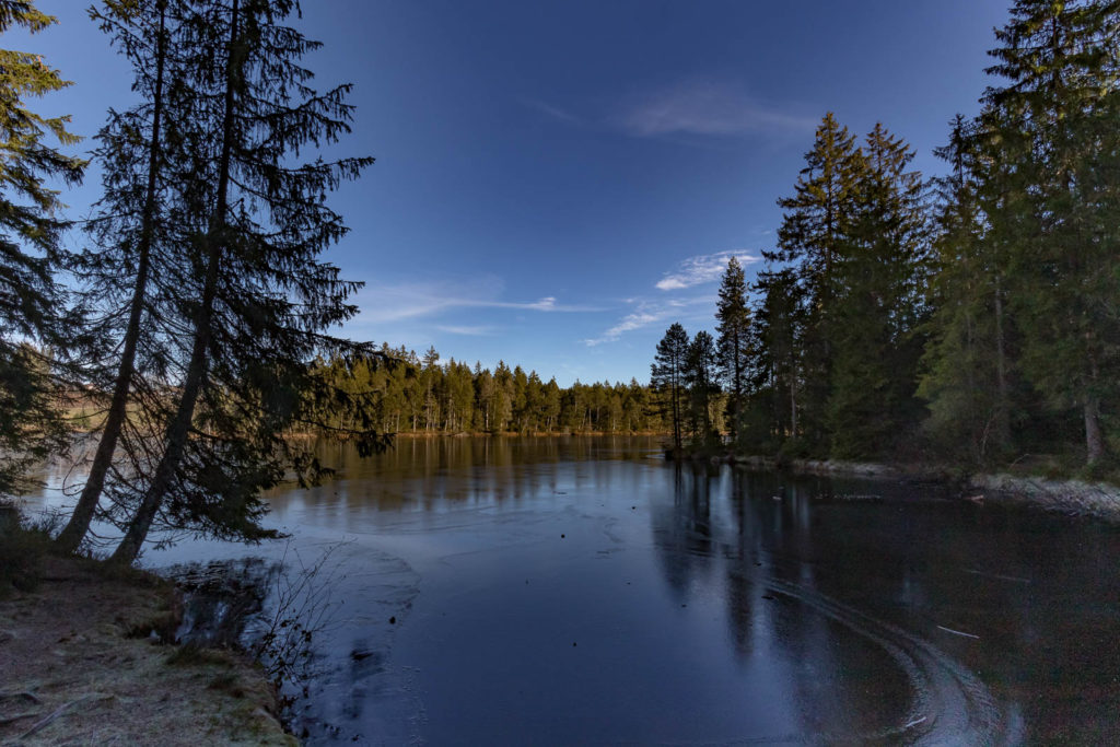 Expo_2019-03-4.jpg