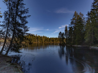 Expo_2019-03-4.jpg
