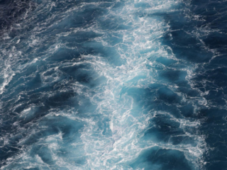 Expo_2015-02-5.jpg