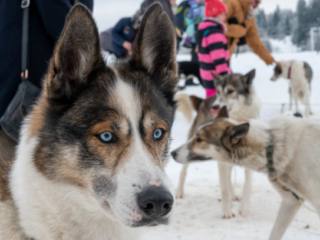 Expo_2023_02-1.jpg