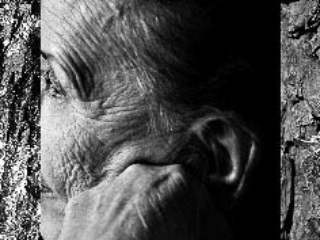 Expo_2008-01-2.jpg Expo_2008-01-2.jpg