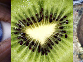 Expo_2008-01-3.jpg Expo_2008-01-3.jpg