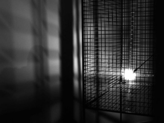 Expo_2008-11-12.jpg Expo_2008-11-12.jpg