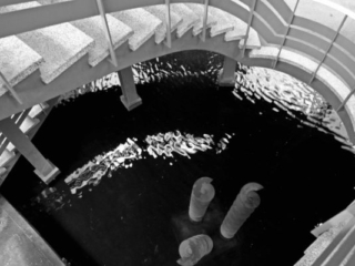 Expo_2008-11-29.jpg Expo_2008-11-29.jpg