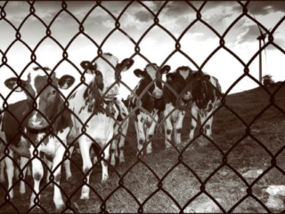 Expo_2011-01-6.jpg Expo_2011-01-6.jpg