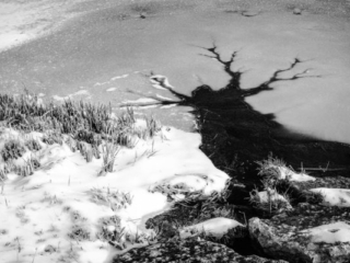 Expo_2018-05-4.jpg Expo_2018-05-4.jpg