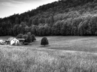 Expo_2019_11-1.jpg Expo_2019_11-1.jpg