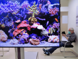 Expo_2020_06-8.jpg Expo_2020_06-8.jpg