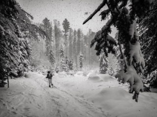 Expo_2021_09-23.jpg Expo_2021_09-23.jpg