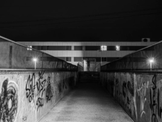 Expo_2024-11-11.jpg