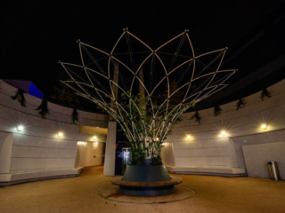 Expo_2024-11-3.jpg