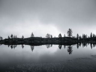 Expo_2024_50ans_Expo_libre_13-1.jpg Expo_2024_50ans_Expo_libre_13-1.jpg