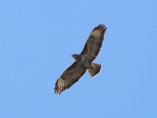 Expo_2025-05-14.jpg