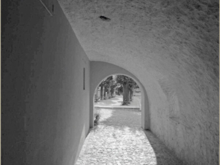 LQJ_J_250827_002