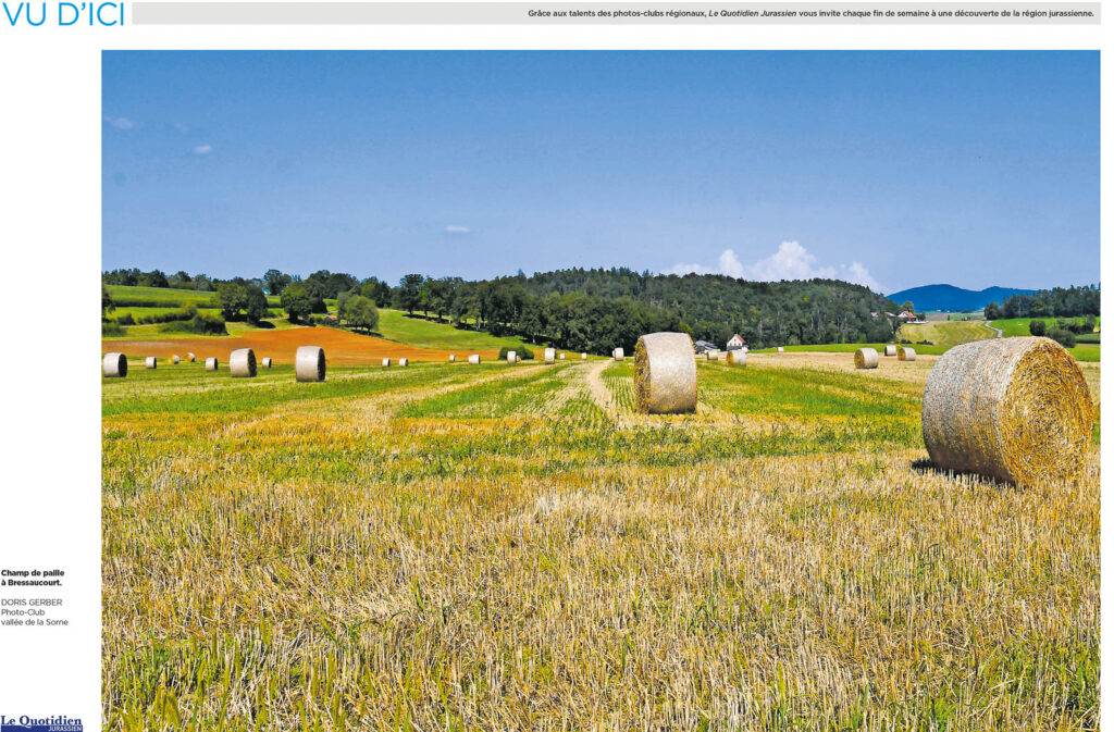 LQJ_J_251011_036 LQJ_J_251011_036