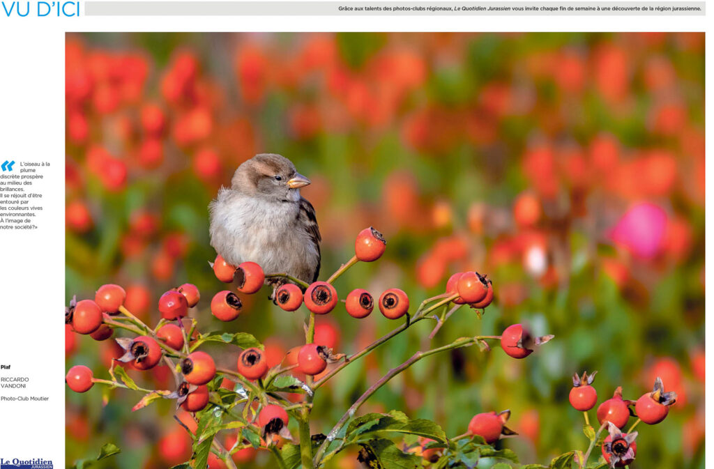 LQJ_J_251018_036 LQJ_J_251018_036