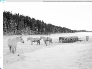 LQJ_J_260124_036