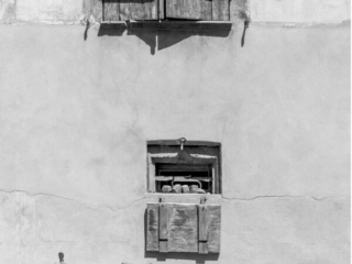 LQJ_J_260404_036